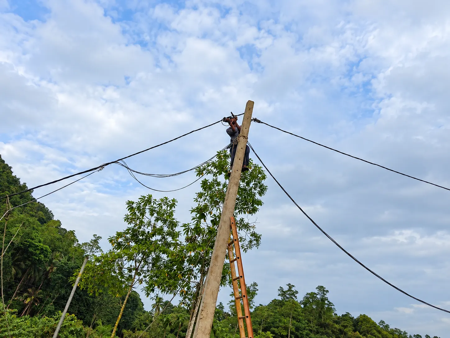 Industrial Power Distribution Line at Elephant House Factory