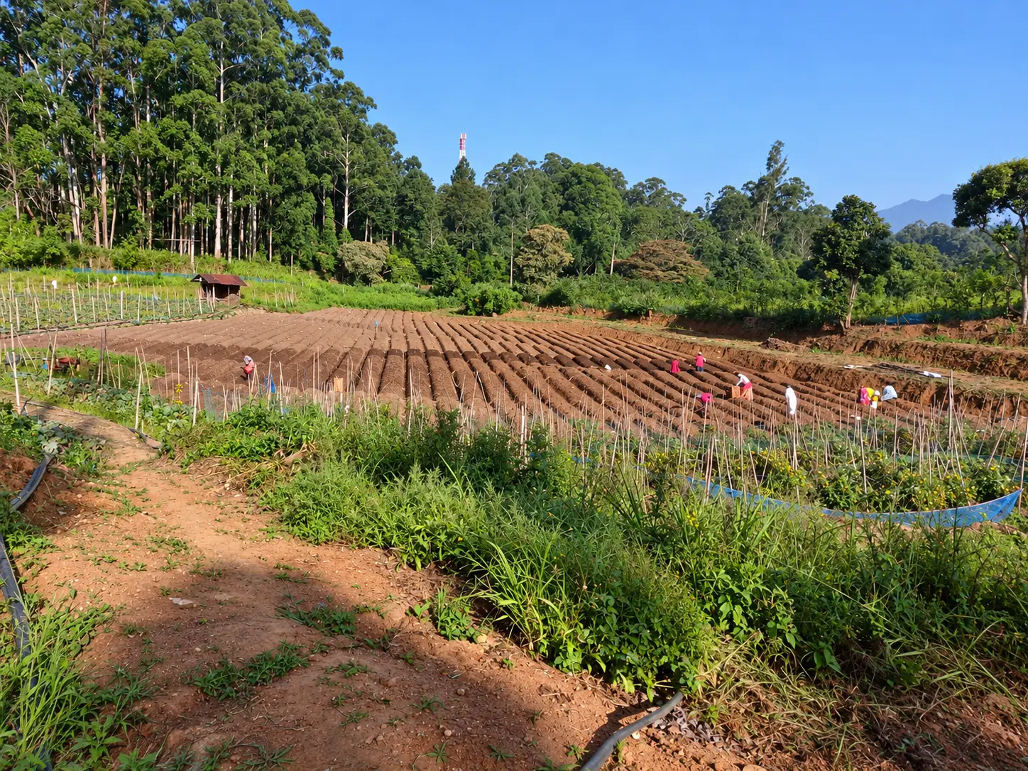 Sacred Beginnings for Modern Agriculture