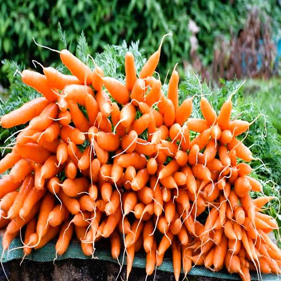Premium Upcountry Root Vegetable වගාව
