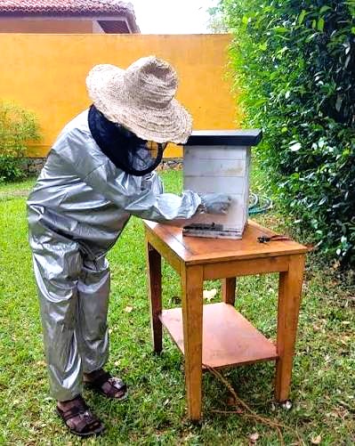 Bee keeping and honey production